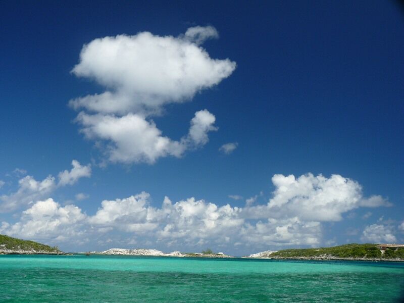 Click to See Next Image