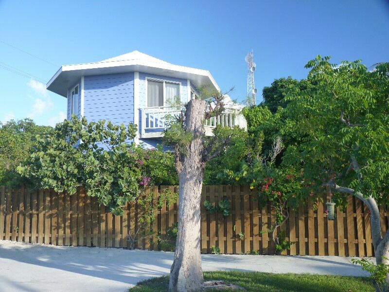 Click to See Next Image