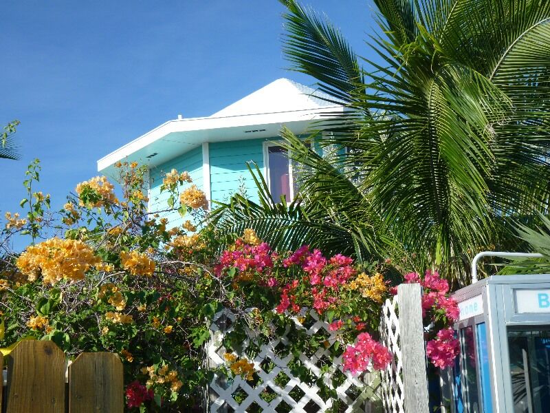 Click to See Next Image