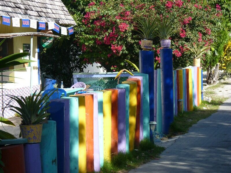 Click to See Next Image