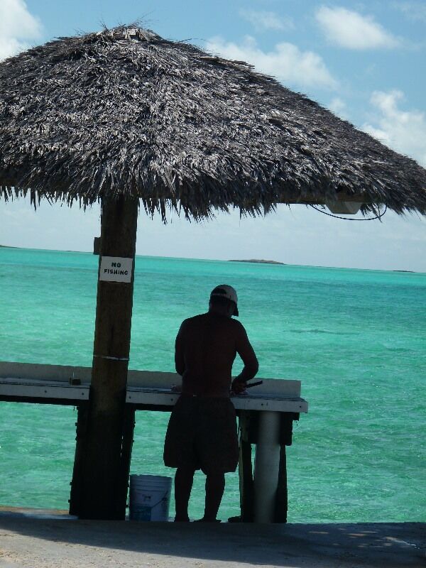 Click to See Next Image