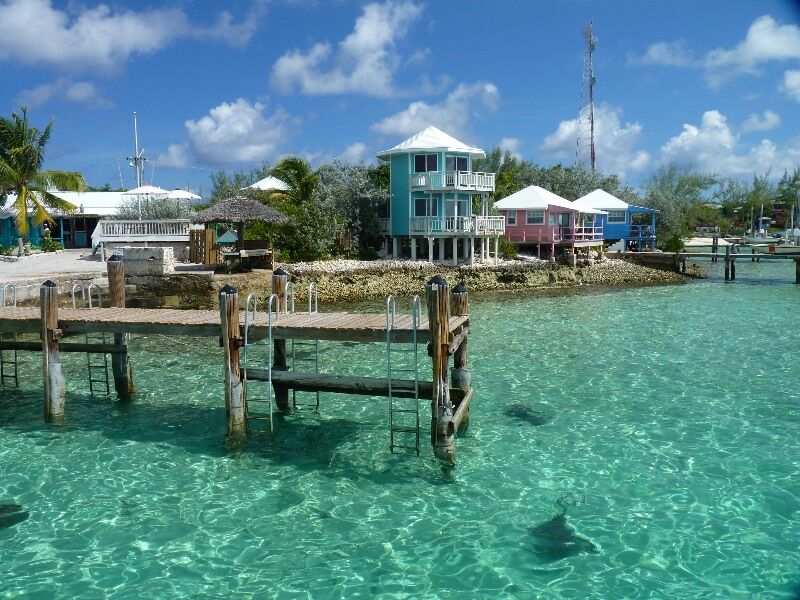 Click to See Next Image