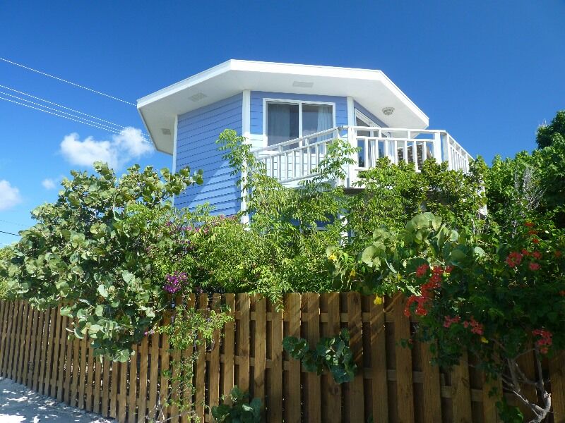 Click to See Next Image