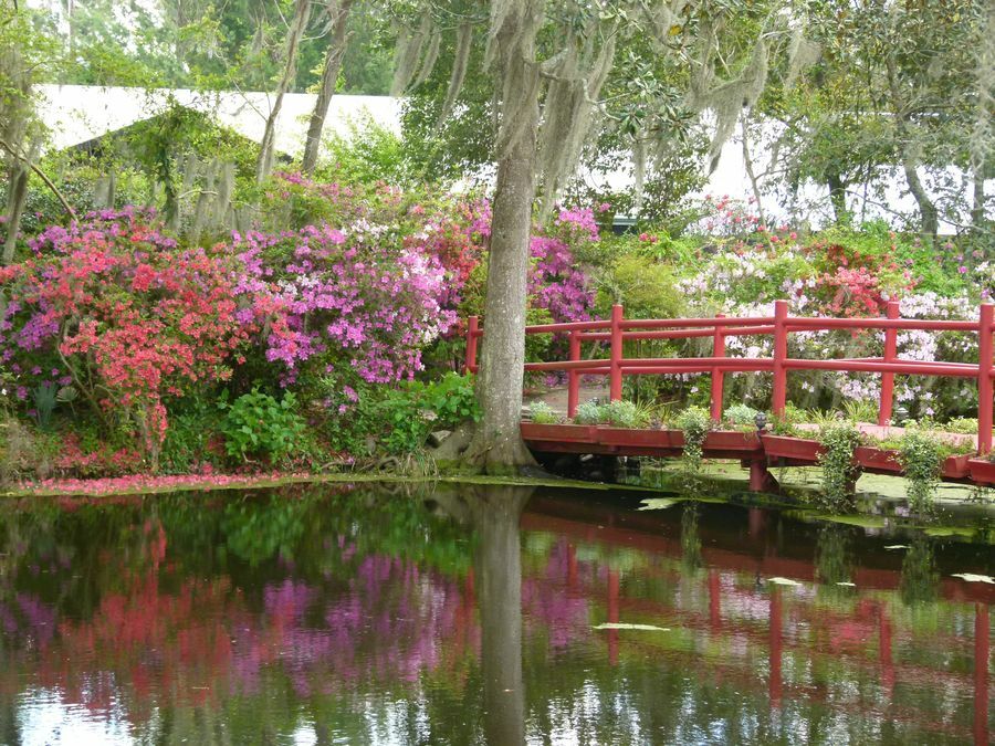 Click to See Next Image