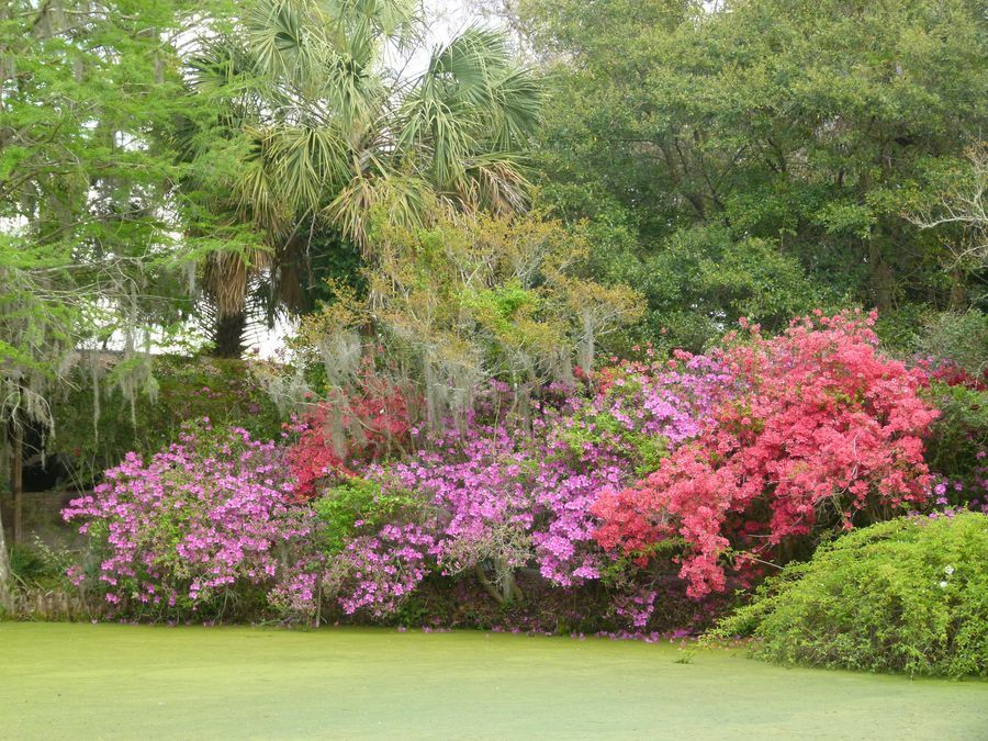 Click to See Next Image