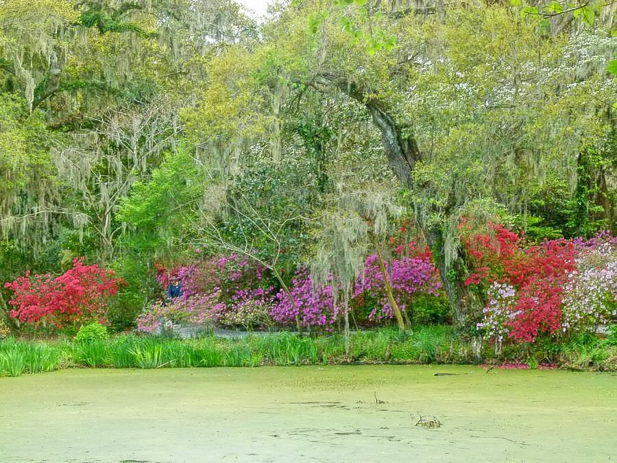 Click to See Next Image