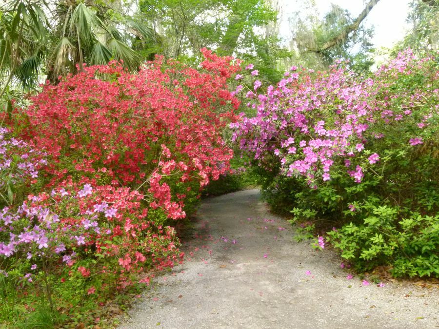 Click to See Next Image