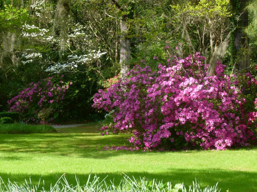 Click to See Next Image