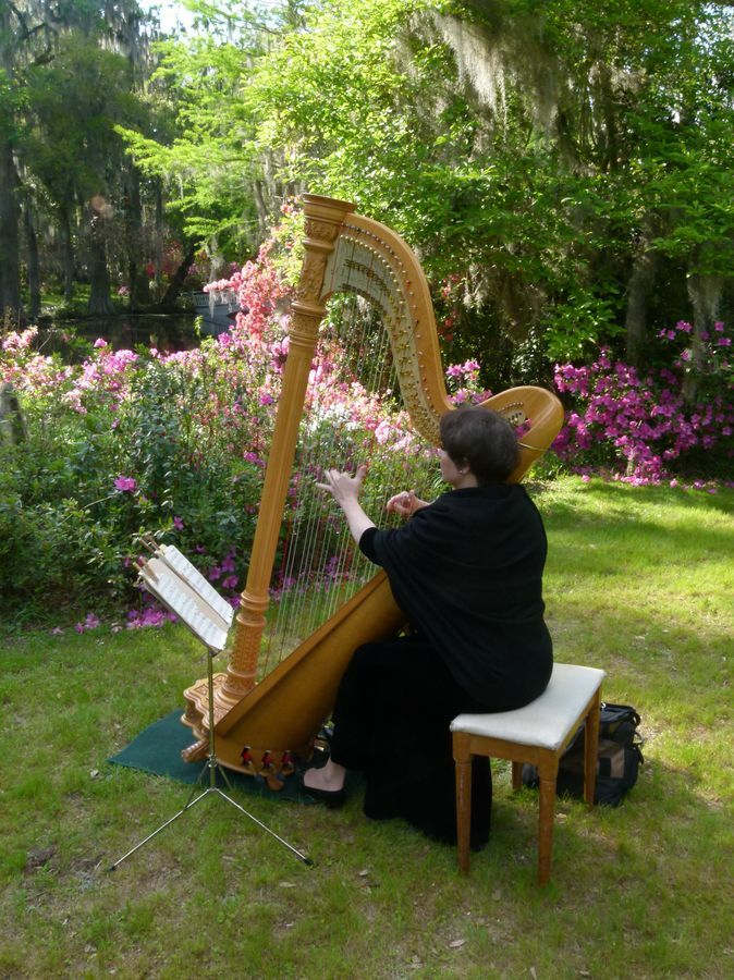 Click to See Next Image