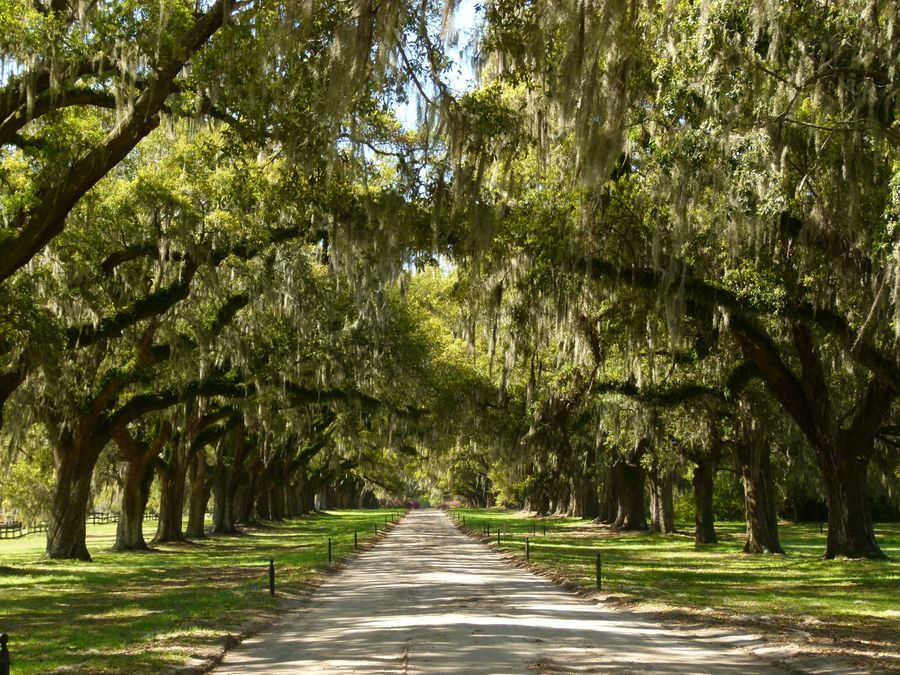 Click to See Next Image