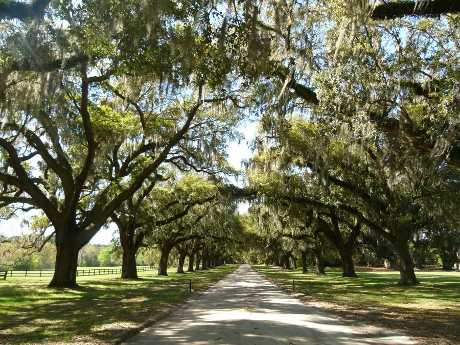 Click to See Next Image