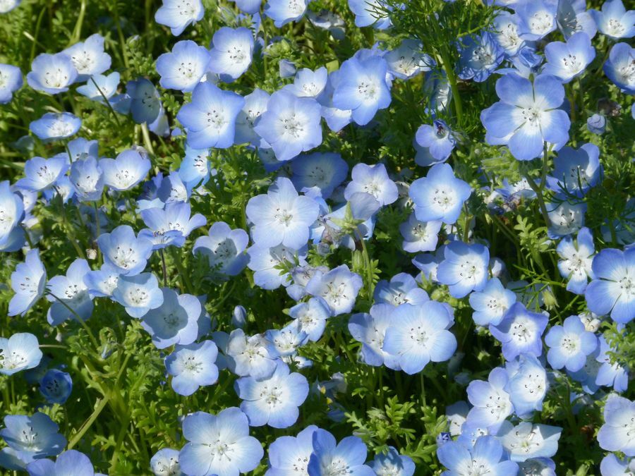 Click to See Next Image