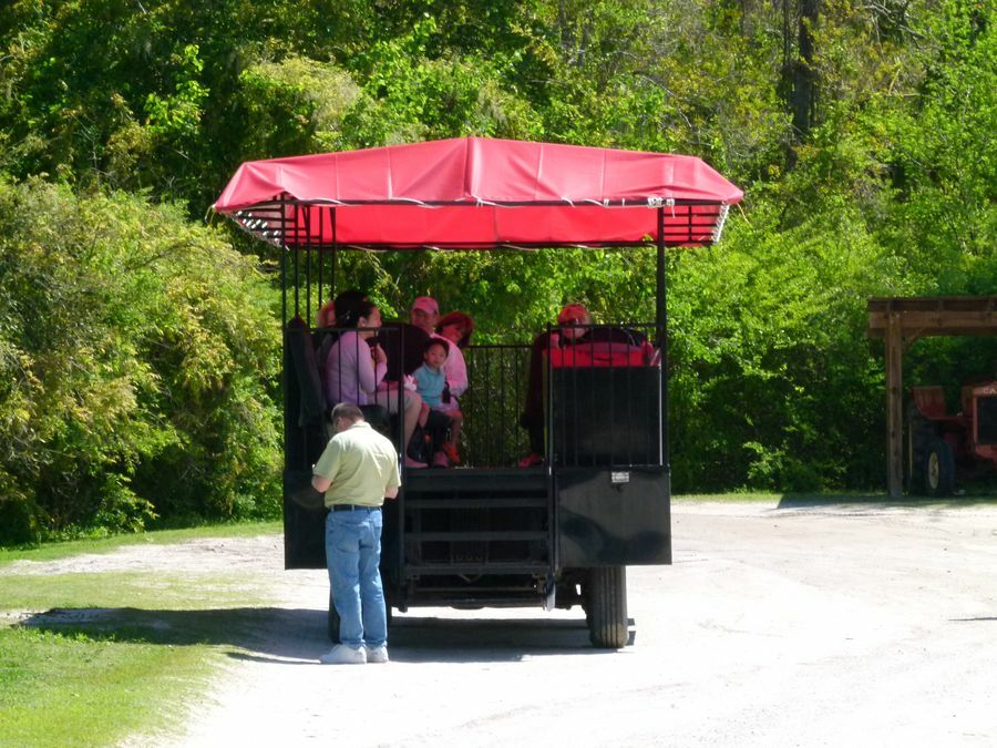 Click to See Next Image