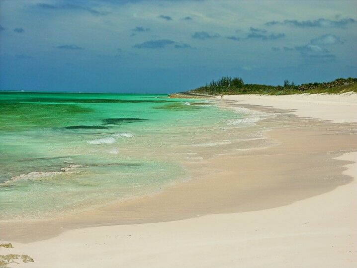 Click to See Next Image