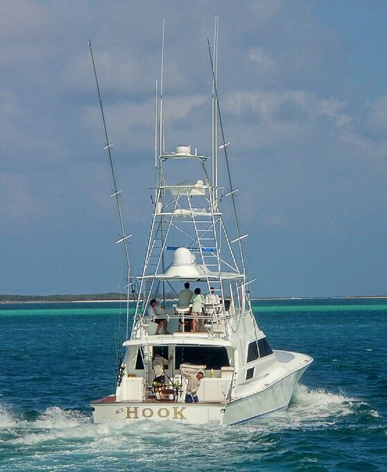 Click to See Next Image