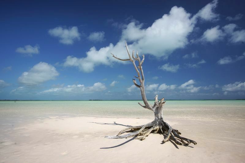 Click to See Next Image