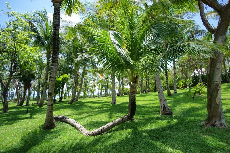 Click to See Next Image