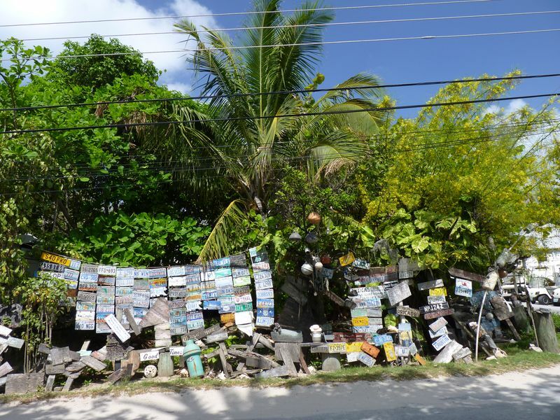 Click to See Next Image