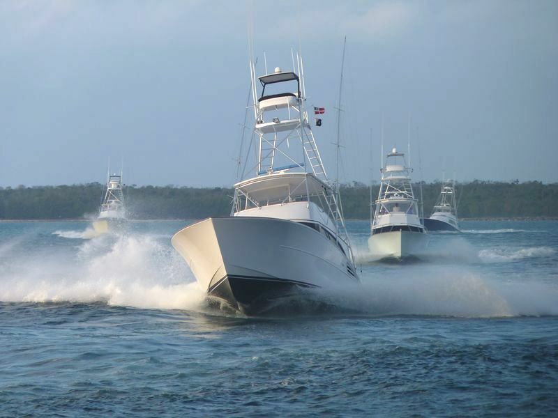 Click to See Next Image