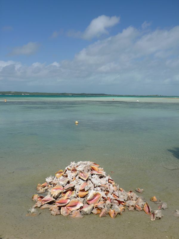 Click to See Next Image