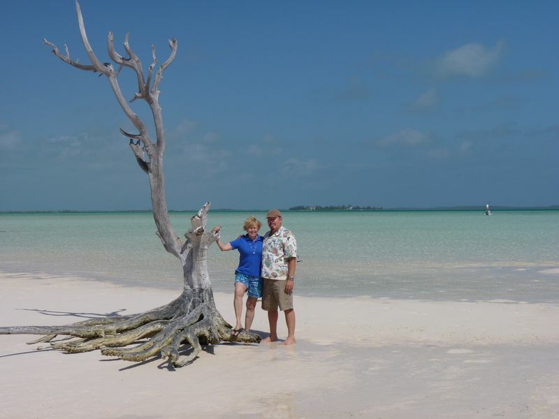 Click to See Next Image