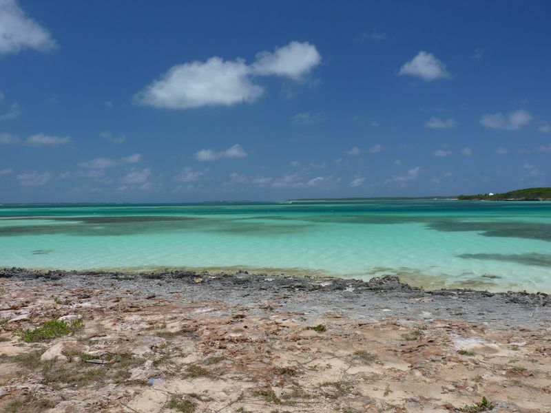 Click to See Next Image