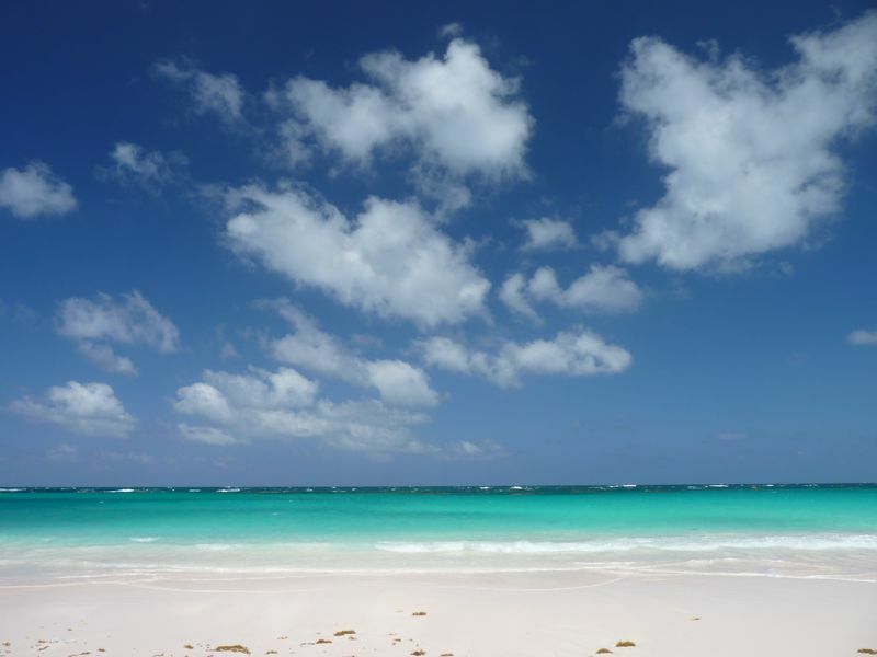 Click to See Next Image