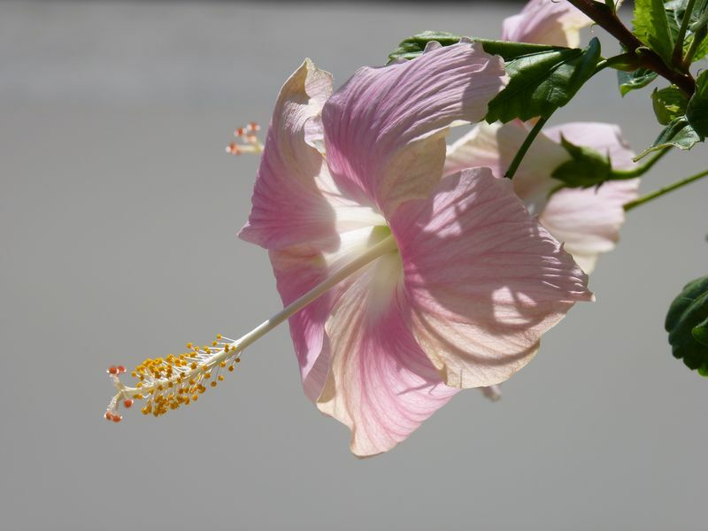 Click to See Next Image