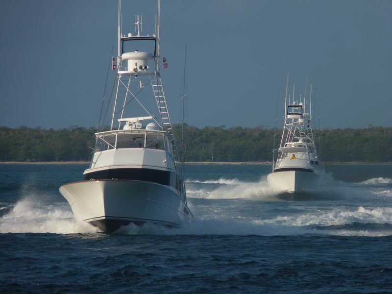 Click to See Next Image