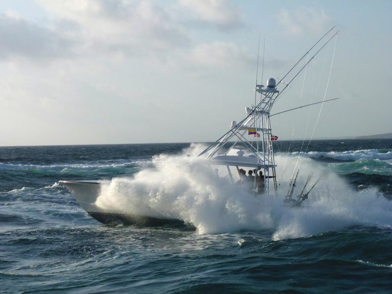 Click to See Next Image