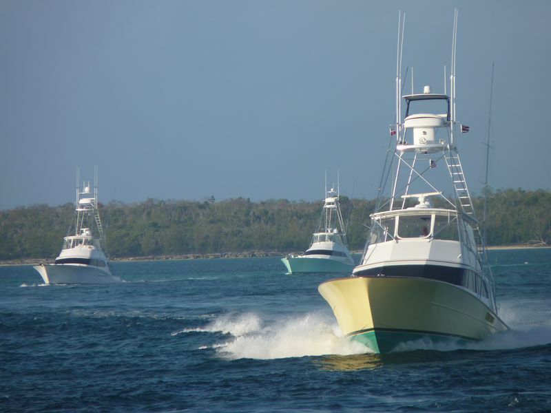 Click to See Next Image