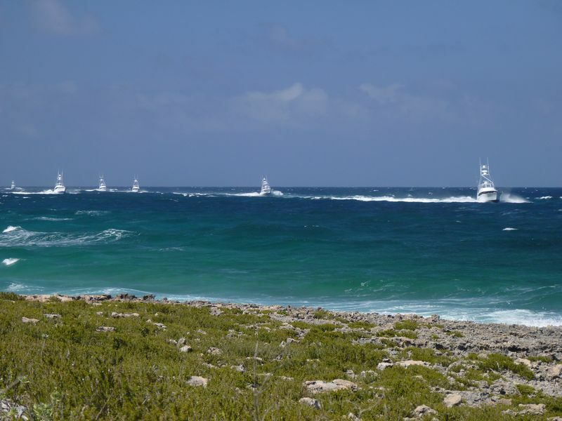 Click to See Next Image