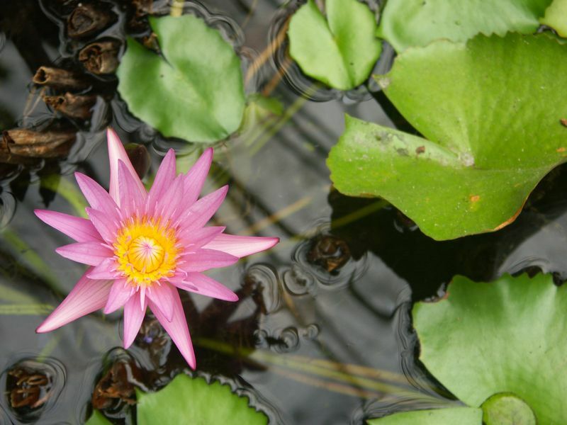 Click to See Next Image