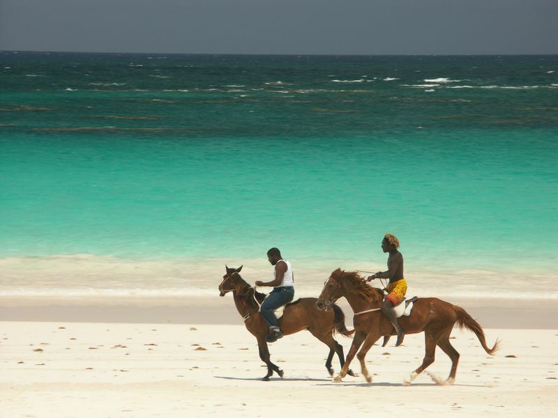 Click to See Next Image