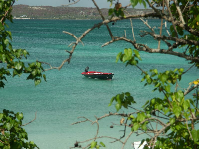 Click to See Next Image