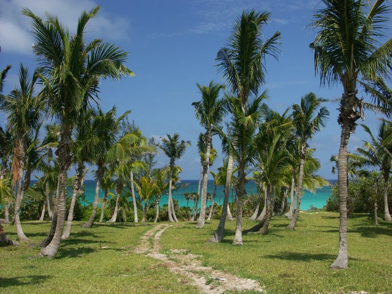 Click to See Next Image