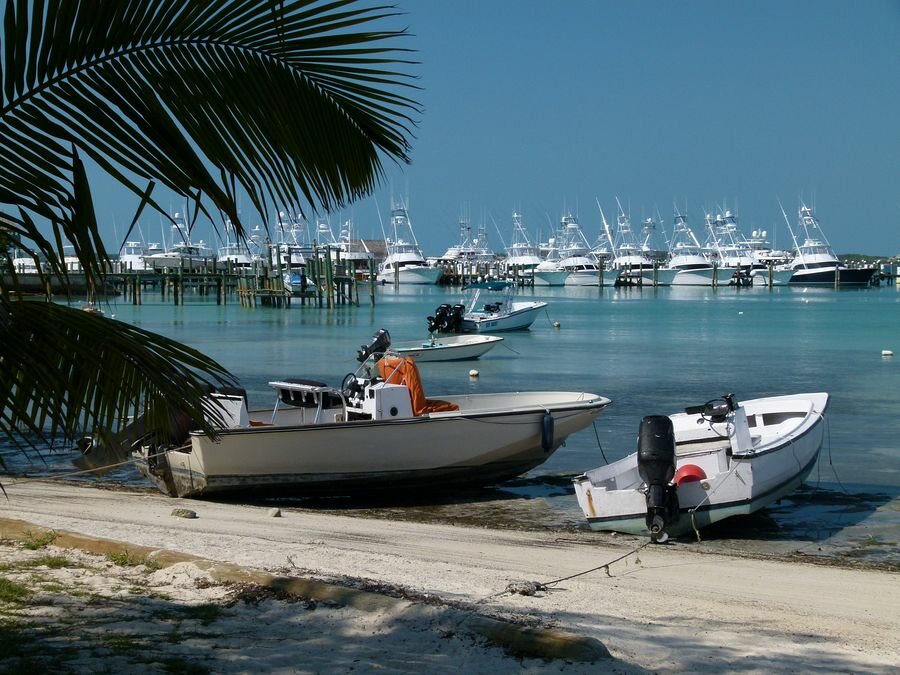 Click to See Next Image