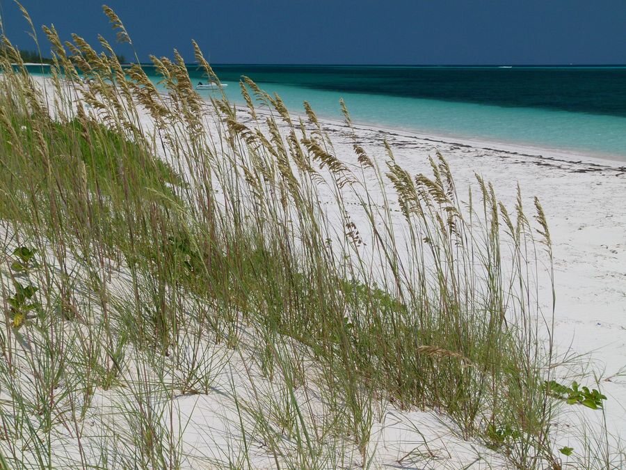 Click to See Next Image