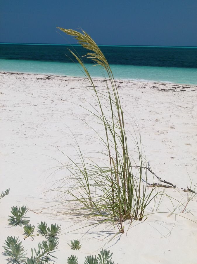 Click to See Next Image