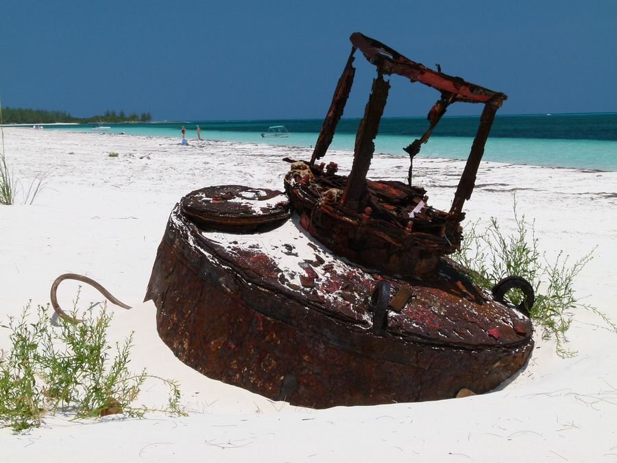 Click to See Next Image