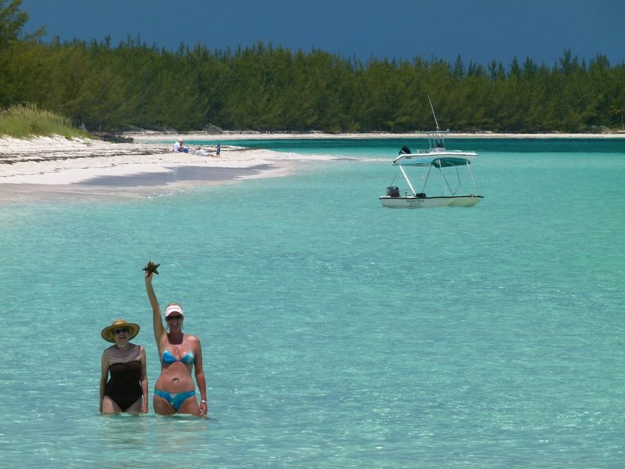 Click to See Next Image