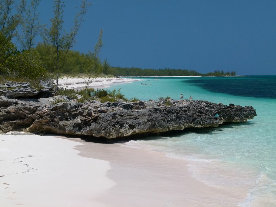 Click to See Next Image