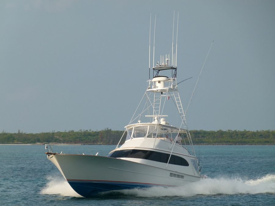 Click to See Next Image