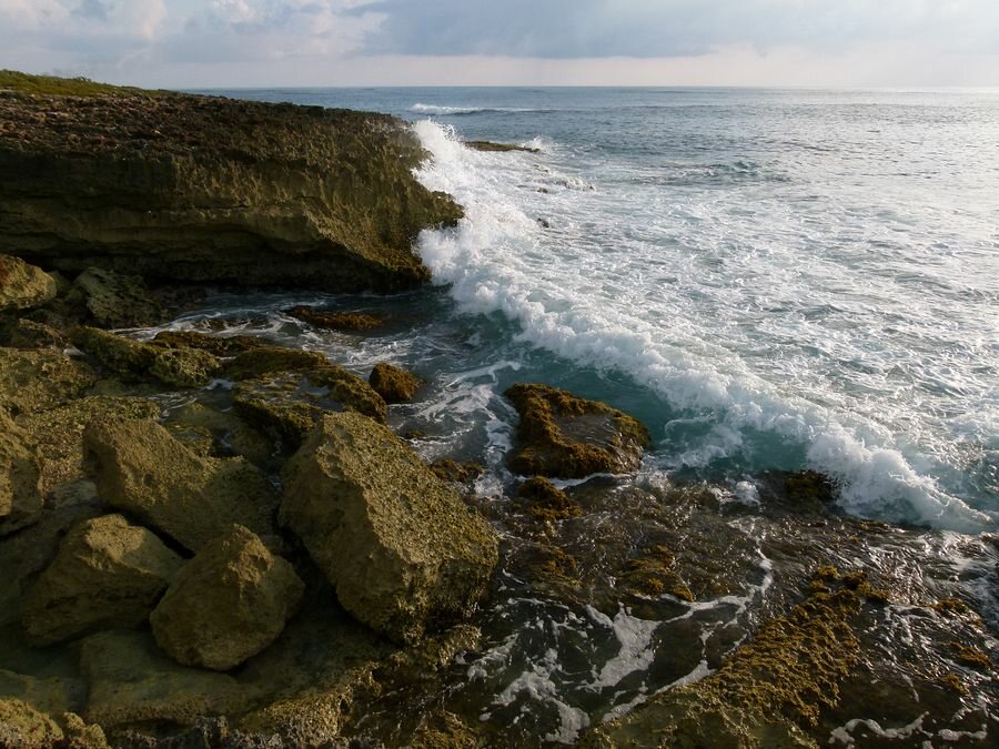 Click to See Next Image