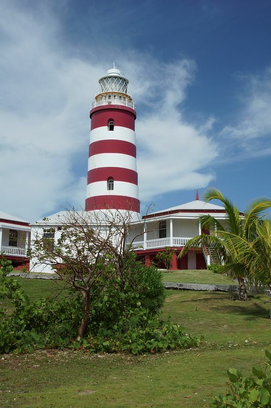 Click to See Next Image