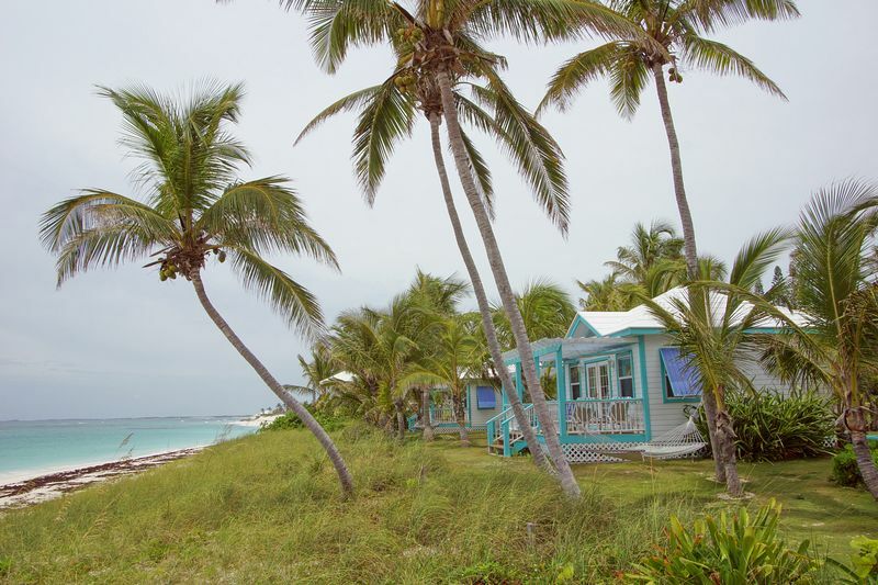 Click to See Next Image