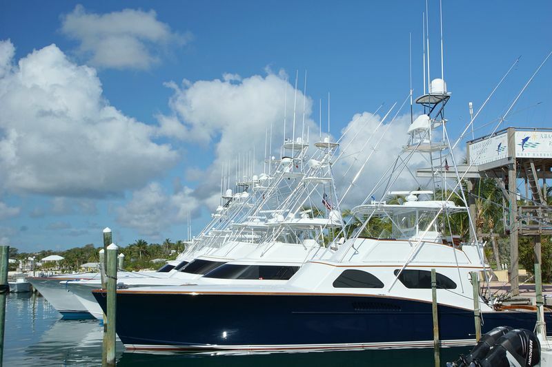 Click to See Next Image