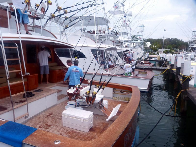 Click to See Next Image