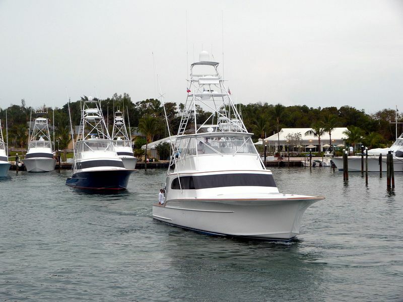 Click to See Next Image