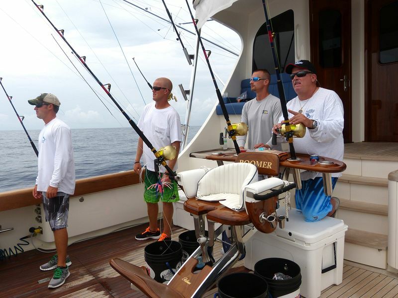 Click to See Next Image